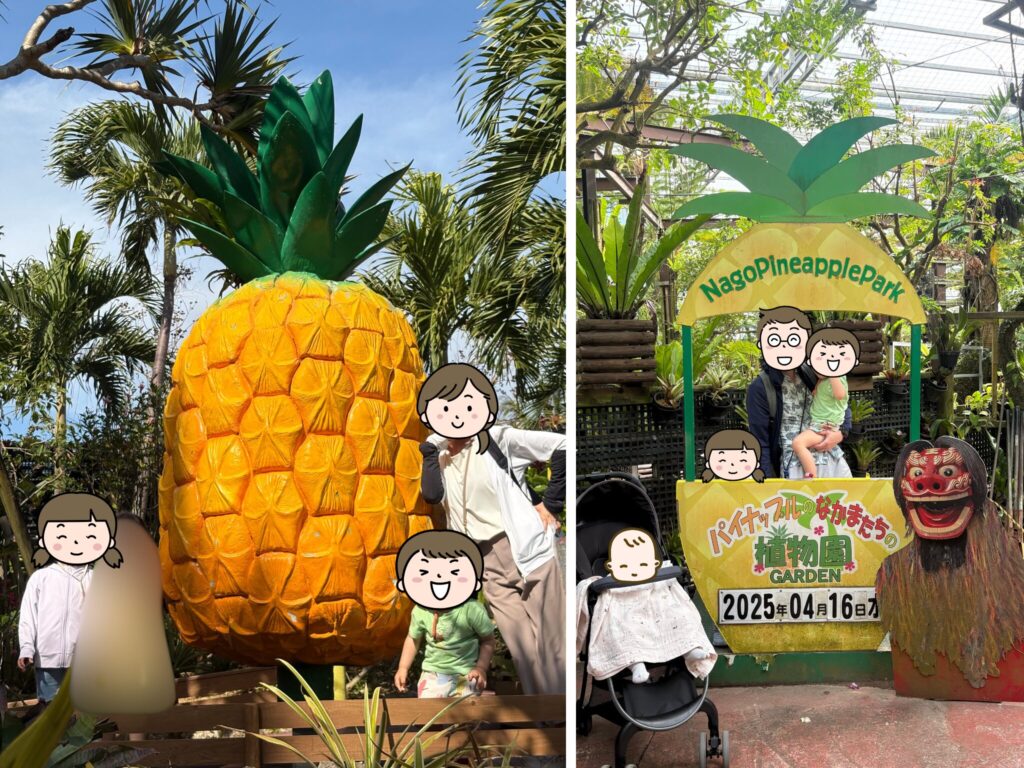 ナゴパイナップルパークの写真撮影スポット